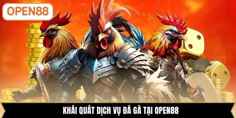 Khái quát dịch vụ đá gà tại OPEN88