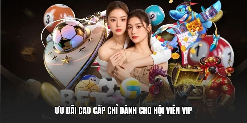 Ưu đãi cao cấp chỉ dành cho hội viên vip